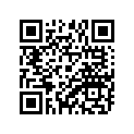 94416-21007-00 RIM (1.60-21)