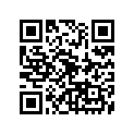 94416-21034-00 RIM (1.60-21)