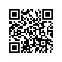 94416-21035-00 RIM (1.60-21)