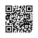 94416-21041-00 RIM (1.60-21)
