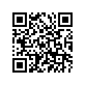 94416-21068-00 RIM (1.60-21)