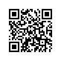 94416-21234-00 Rim 1.60x21