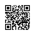 94580-25060-00 Цепь
