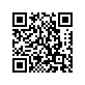 94581-18110-00 CHAIN(1KT)