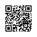 94581-26110-00 Цепь