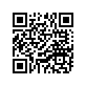 94581-32118-00 Цепь