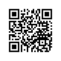 94581-63104-00 CHAIN