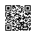 94581-91132-00 CHAIN