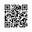 94591-05156-00 CHAIN. CAM (36Y)