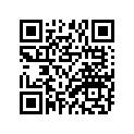 94703-00411-00 SPARTK, PULG (NGK R CR8E)