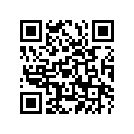 94880-06070-00 Цепь Приводная