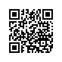 9559584B WHLWGHT,5GRAMSILVER