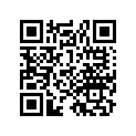 97251-42163-13 スポ-クB 10X161.5