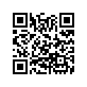 97465-31297-10 SPOKE A (11X228.5)