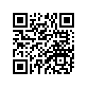 98707-04014-00 SCREW,FLAT
