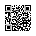 9898 TERMINAL,FLAG