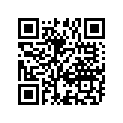 99011-17G51-01W