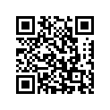 99011-17G52-01W
