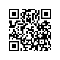 99101-3931020 Чехол для инструментов