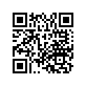 99108-MW0-1102 JET,SLOW AIR,#110