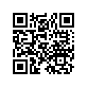 99124-089-0381 JET,SLOW #38