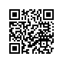 9Y5-81751-19-00