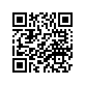 9Y581-87091-00 Цепь