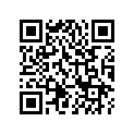 A51114145000 BUSH