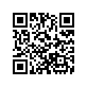 A53179155000 LHLEVER ASS'Y