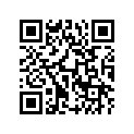 A611397 DECAL, PORT