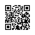 A91307101000 OIL RING