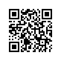 A91312104000 OIL RING