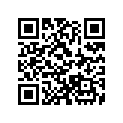 A91313104000 OIL RING