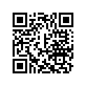 A91323104000 Oil Ring