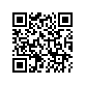 A91336104000 OIL RING