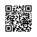 A941011013010 Plain Washer