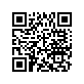 A941011225050 Plain Washer