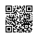A941011528010 Plain Washer