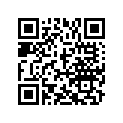 A941040816020 Washer Plain