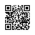 A96300030118 CRANKSAHFT PIN