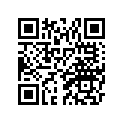 B16-26164-00-00 LEVER 1