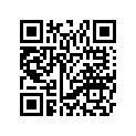 B88-2811G-00-00 BAND