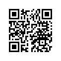 BB5-45593-00-00 Фланец