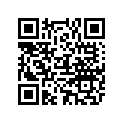 FA612397 DECAL, PORT
