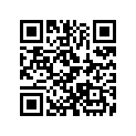 H81329567020 Bouchon *plug
