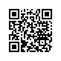 M3125351 Cale *shim