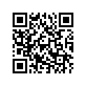 T1130255 Shim, Tappet 2.55