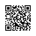 T1140920 Chain, Cam Drive, 134 Links