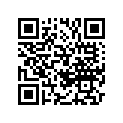 T1140925 Chain, Cam Drive, 134 Links