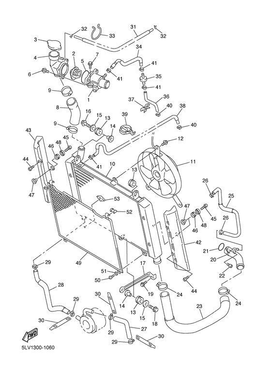 Radiator & hose